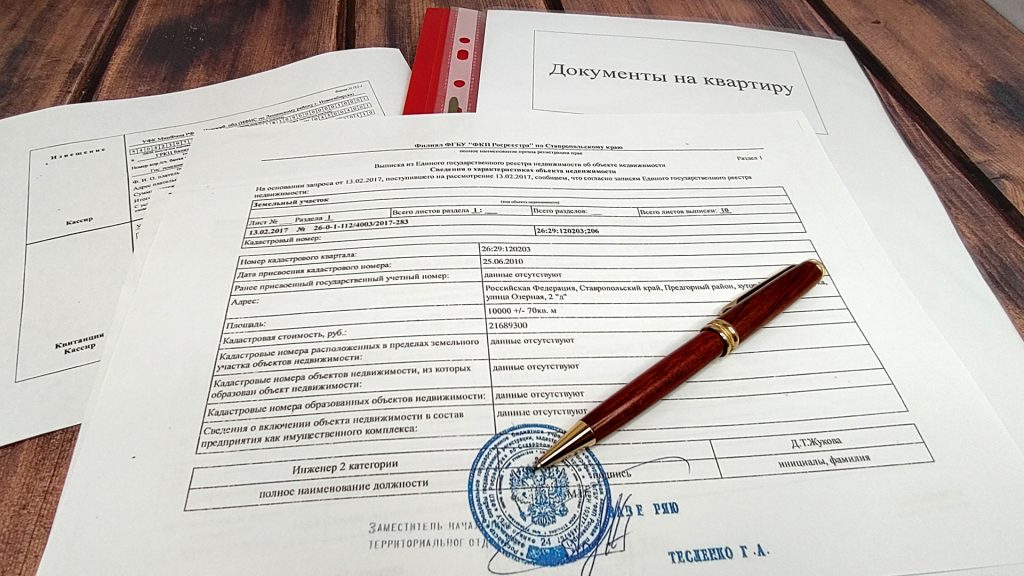 Выписка из ЕГРН и другие документы для выписки через суд