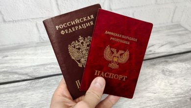 Как получить гражданство РФ для жителей и граждан ДНР и ЛНР?