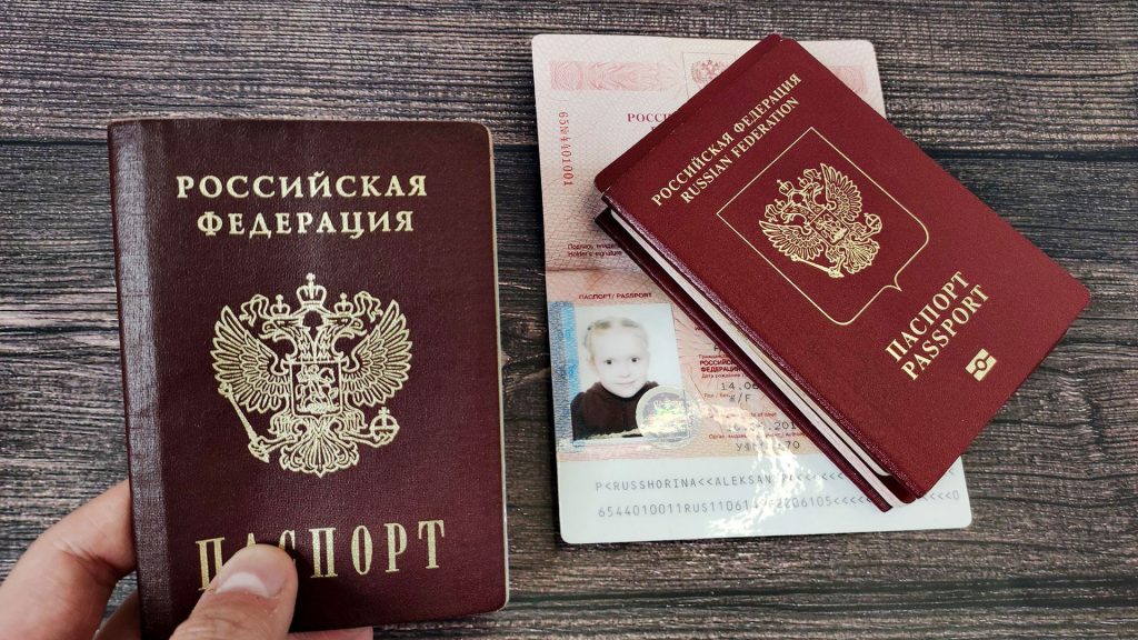 Кому доступно гражданство РФ по детям-гражданам РФ?