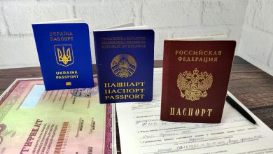 Носитель русского языка и гражданство России: как получить?